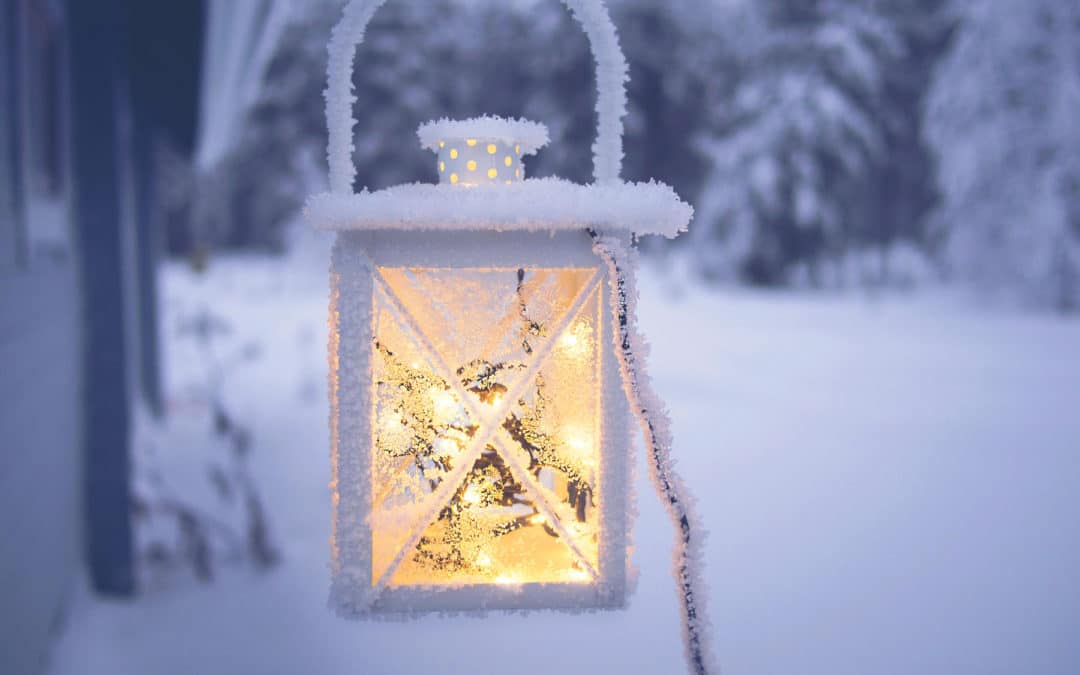 La lumière pour s’orienter