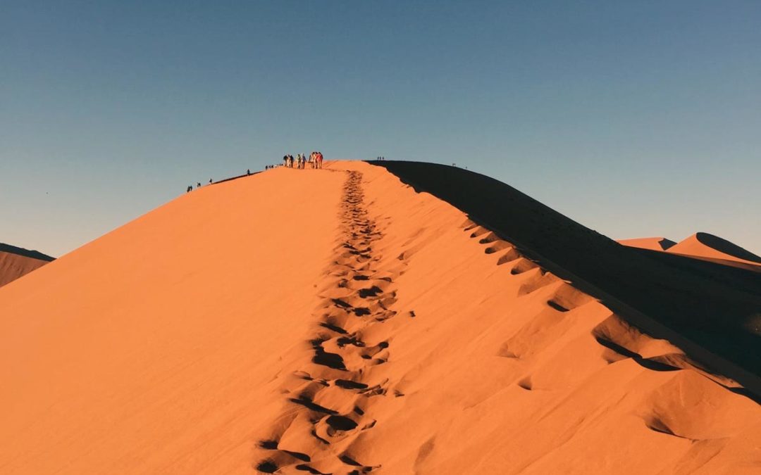 Les traces de Dieu