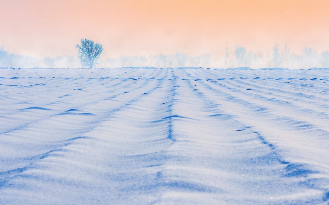 Un vêtement blanc